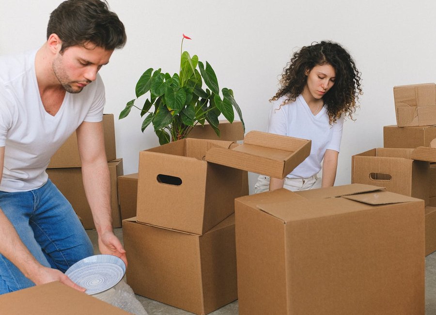 American Moving Solutions movers on a job in Palm City